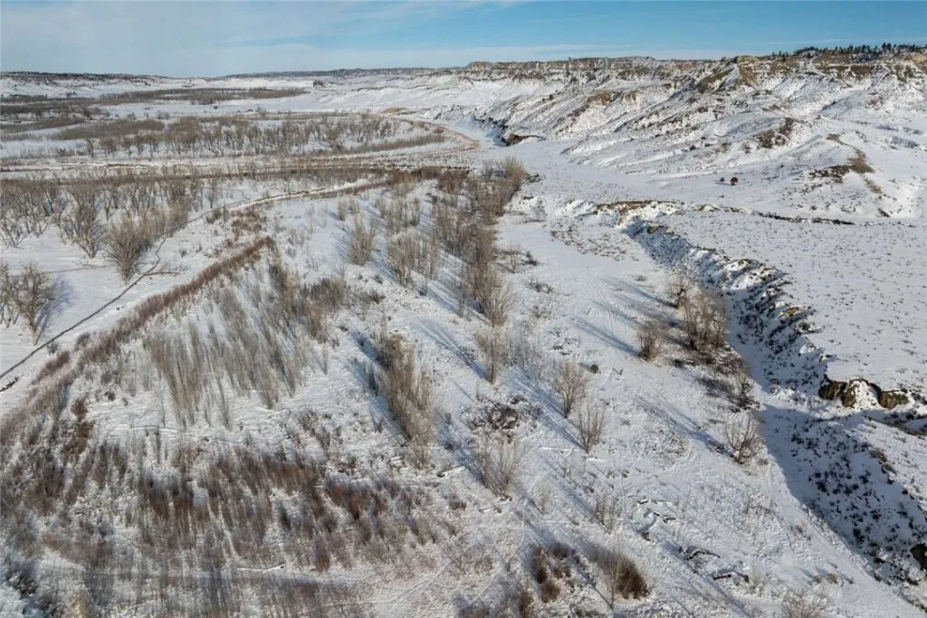 CREATOR: gd-jpeg v1.0 (using IJG JPEG v80), quality = 60