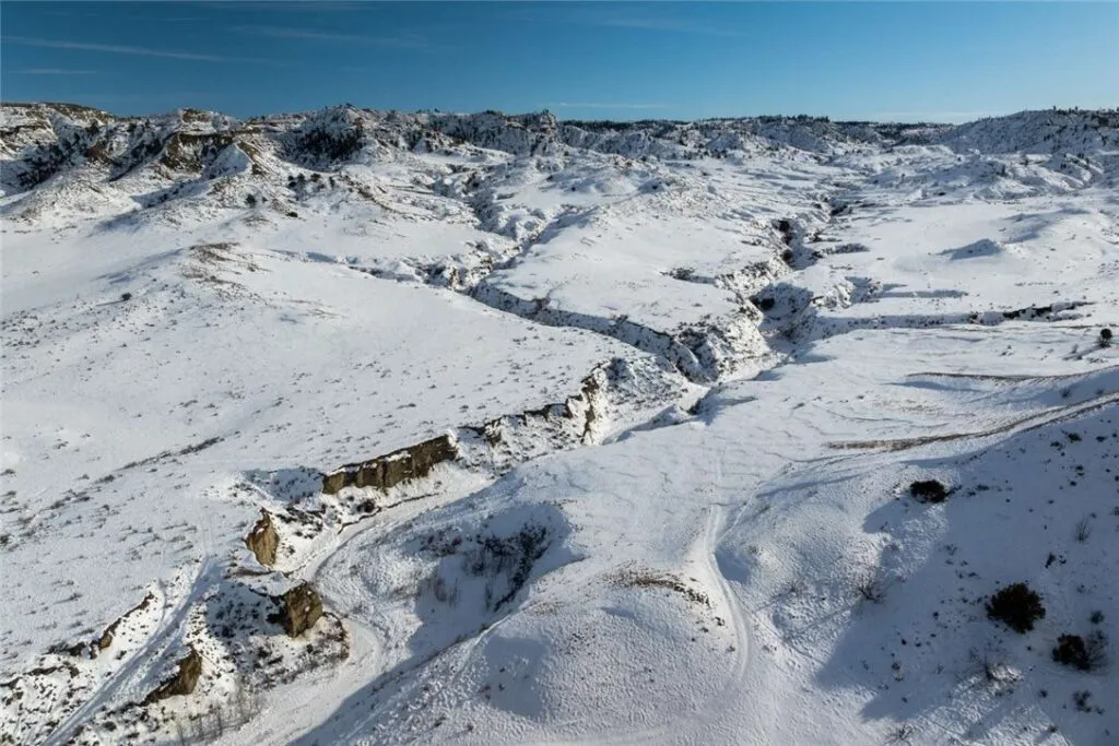 CREATOR: gd-jpeg v1.0 (using IJG JPEG v80), quality = 60