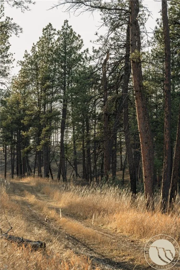 trestle-mt-8653-10-1